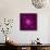 Beautiful Purple Flower on Purple Background-velirina-Art Print displayed on a wall