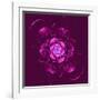 Beautiful Purple Flower on Purple Background-velirina-Framed Art Print