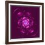 Beautiful Purple Flower on Purple Background-velirina-Framed Art Print