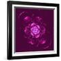 Beautiful Purple Flower on Purple Background-velirina-Framed Art Print