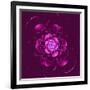 Beautiful Purple Flower on Purple Background-velirina-Framed Art Print