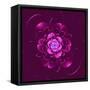 Beautiful Purple Flower on Purple Background-velirina-Framed Stretched Canvas