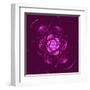 Beautiful Purple Flower on Purple Background-velirina-Framed Art Print