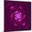 Beautiful Purple Flower on Purple Background-velirina-Mounted Art Print