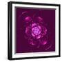 Beautiful Purple Flower on Purple Background-velirina-Framed Art Print