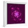 Beautiful Purple Flower on Purple Background-velirina-Framed Art Print