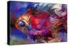 Beautiful Red Fish-RUNA-Stretched Canvas