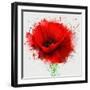 Beautiful Red Poppy, Closeup on a White Background, with Elements of the Sketch and Spray Paint, As-Pacrovka-Framed Art Print