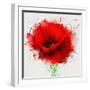 Beautiful Red Poppy, Closeup on a White Background, with Elements of the Sketch and Spray Paint, As-Pacrovka-Framed Art Print