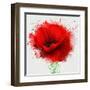 Beautiful Red Poppy, Closeup on a White Background, with Elements of the Sketch and Spray Paint, As-Pacrovka-Framed Art Print