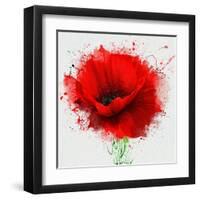 Beautiful Red Poppy, Closeup on a White Background, with Elements of the Sketch and Spray Paint, As-Pacrovka-Framed Art Print