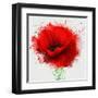 Beautiful Red Poppy, Closeup on a White Background, with Elements of the Sketch and Spray Paint, As-Pacrovka-Framed Art Print