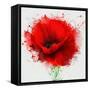 Beautiful Red Poppy, Closeup on a White Background, with Elements of the Sketch and Spray Paint, As-Pacrovka-Framed Stretched Canvas