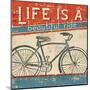 Beautiful Ride I-Pela Design-Mounted Art Print