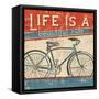 Beautiful Ride I-Pela Design-Framed Stretched Canvas