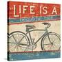 Beautiful Ride I-Pela Design-Stretched Canvas