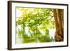 Beautiful River Landscape, Reflection of Big Tree in Calm Water, Forest Nature, Bright Yellow Sunli-Anna Omelchenko-Framed Photographic Print