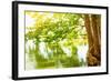 Beautiful River Landscape, Reflection of Big Tree in Calm Water, Forest Nature, Bright Yellow Sunli-Anna Omelchenko-Framed Photographic Print