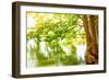 Beautiful River Landscape, Reflection of Big Tree in Calm Water, Forest Nature, Bright Yellow Sunli-Anna Omelchenko-Framed Photographic Print