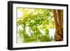 Beautiful River Landscape, Reflection of Big Tree in Calm Water, Forest Nature, Bright Yellow Sunli-Anna Omelchenko-Framed Photographic Print