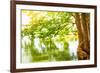 Beautiful River Landscape, Reflection of Big Tree in Calm Water, Forest Nature, Bright Yellow Sunli-Anna Omelchenko-Framed Photographic Print