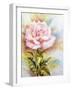 Beautiful Rose, Oil Painting on Canvas-Valenty-Framed Art Print