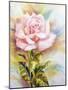 Beautiful Rose, Oil Painting on Canvas-Valenty-Mounted Art Print