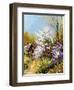 Beautiful Rural Landscape-balaikin2009-Framed Art Print