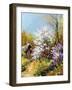 Beautiful Rural Landscape-balaikin2009-Framed Art Print