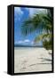 Beautiful Sand Beach, Cape Tribulation, Queensland, Australia, Pacific-Michael Runkel-Framed Stretched Canvas