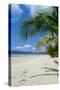 Beautiful Sand Beach, Cape Tribulation, Queensland, Australia, Pacific-Michael Runkel-Stretched Canvas