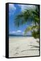 Beautiful Sand Beach, Cape Tribulation, Queensland, Australia, Pacific-Michael Runkel-Framed Stretched Canvas