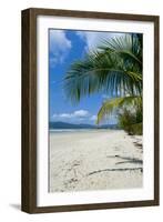 Beautiful Sand Beach, Cape Tribulation, Queensland, Australia, Pacific-Michael Runkel-Framed Photographic Print