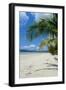 Beautiful Sand Beach, Cape Tribulation, Queensland, Australia, Pacific-Michael Runkel-Framed Photographic Print