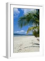 Beautiful Sand Beach, Cape Tribulation, Queensland, Australia, Pacific-Michael Runkel-Framed Photographic Print