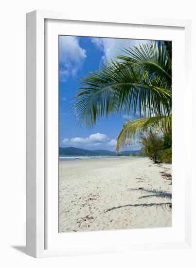 Beautiful Sand Beach, Cape Tribulation, Queensland, Australia, Pacific-Michael Runkel-Framed Photographic Print