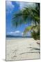 Beautiful Sand Beach, Cape Tribulation, Queensland, Australia, Pacific-Michael Runkel-Mounted Photographic Print