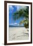 Beautiful Sand Beach, Cape Tribulation, Queensland, Australia, Pacific-Michael Runkel-Framed Photographic Print