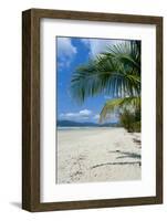 Beautiful Sand Beach, Cape Tribulation, Queensland, Australia, Pacific-Michael Runkel-Framed Photographic Print