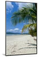 Beautiful Sand Beach, Cape Tribulation, Queensland, Australia, Pacific-Michael Runkel-Mounted Photographic Print