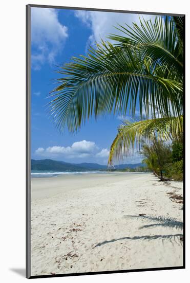 Beautiful Sand Beach, Cape Tribulation, Queensland, Australia, Pacific-Michael Runkel-Mounted Photographic Print