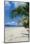 Beautiful Sand Beach, Cape Tribulation, Queensland, Australia, Pacific-Michael Runkel-Mounted Photographic Print