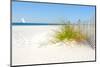 Beautiful Sand Dune Fence by Sea Grass with Sailboat on Horizon-CherylCasey-Mounted Photographic Print