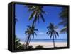 Beautiful Sandy Beach and Palms at Ngazidja, Grand Comore, Comoros, Indian Ocean, Africa-null-Framed Stretched Canvas