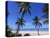 Beautiful Sandy Beach and Palms at Ngazidja, Grand Comore, Comoros, Indian Ocean, Africa-null-Stretched Canvas