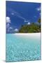 Beautiful sandy beach, lagoon and palm trees, The Maldives, Indian Ocean-Sakis Papadopoulos-Mounted Photographic Print