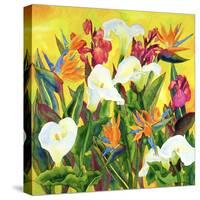 Beautiful Santa Barbara- Square-Carissa Luminess-Stretched Canvas