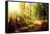 Beautiful Scene Misty Old Forest with Sun Rays, Shadows and Fog-Subbotina Anna-Framed Stretched Canvas