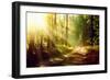 Beautiful Scene Misty Old Forest with Sun Rays, Shadows and Fog-Subbotina Anna-Framed Photographic Print