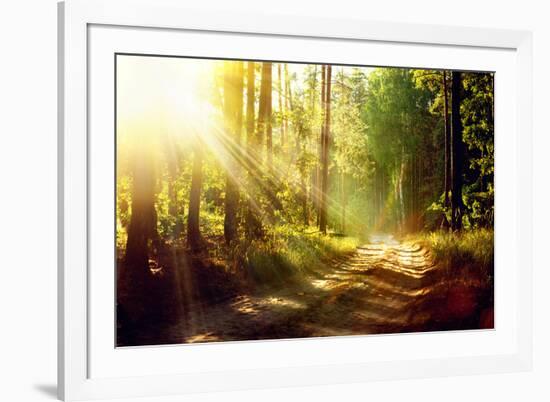 Beautiful Scene Misty Old Forest with Sun Rays, Shadows and Fog-Subbotina Anna-Framed Photographic Print